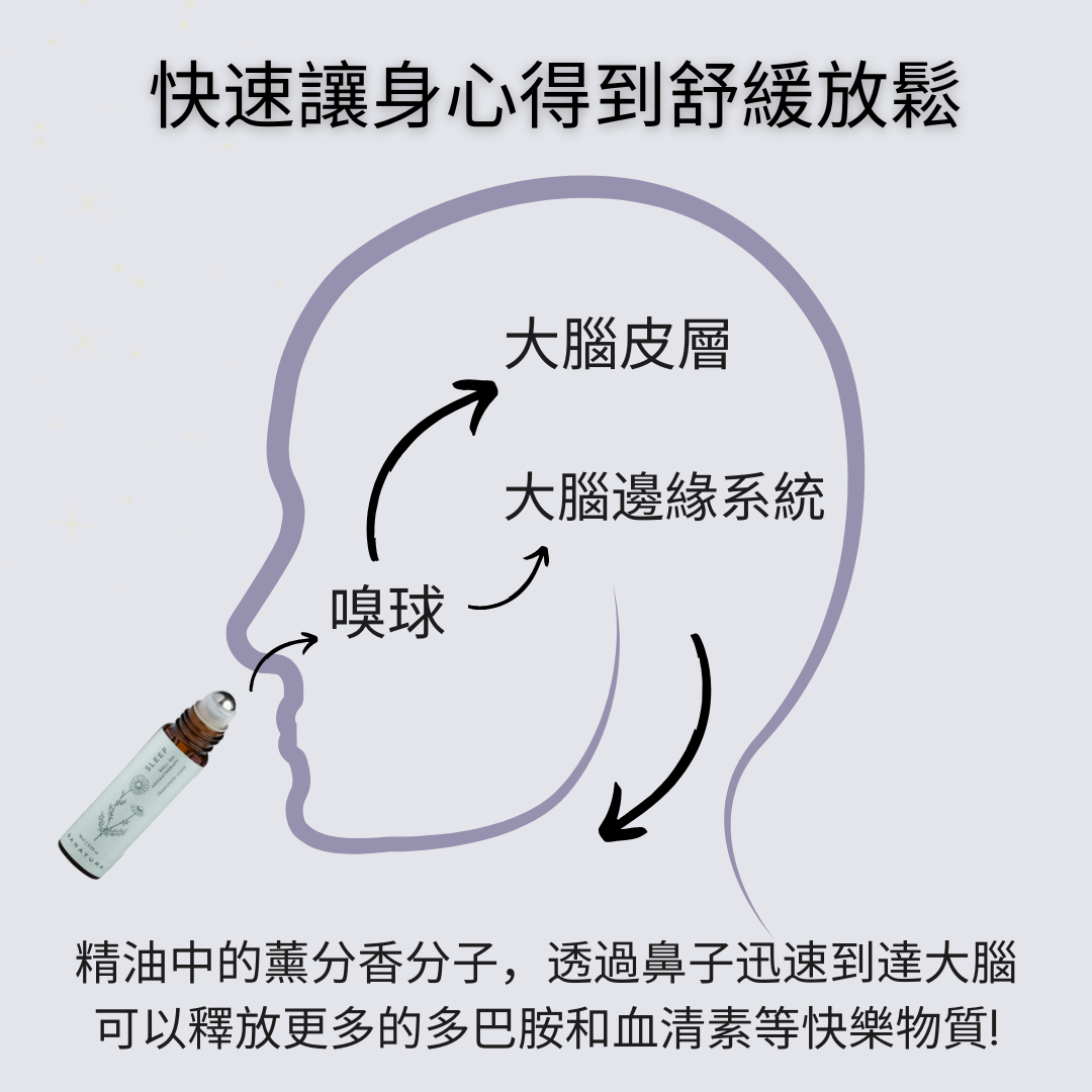 助眠滾珠香薰油 - 洋甘菊香味